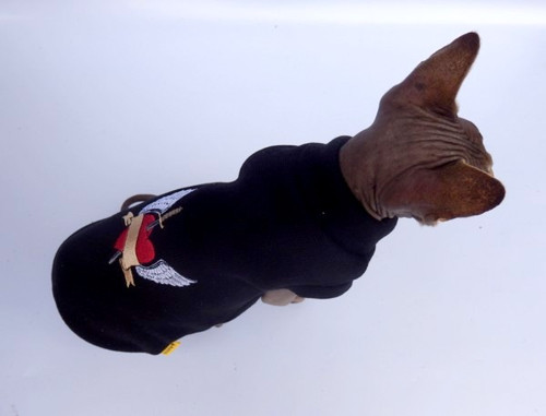 Svetr pro sphynxe — foto 1