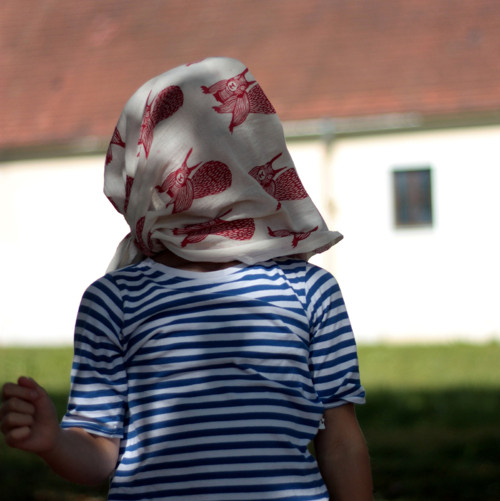 Šála/veverky — foto 1