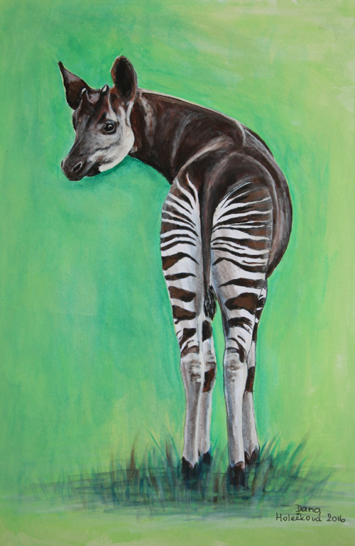 Okapi - autorský arch — foto 1