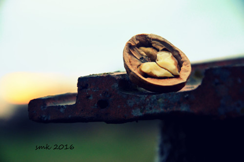 Polovina - autorská fotografie
