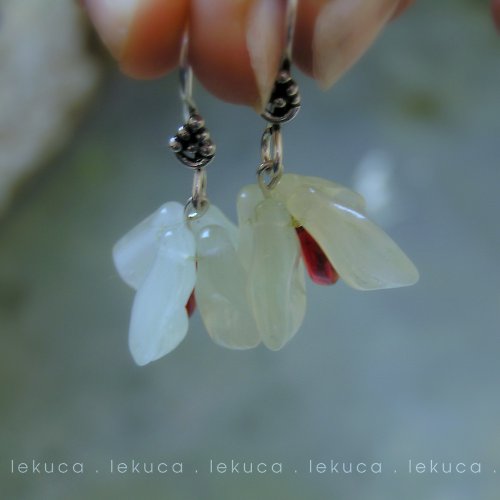 Cherry blossom — foto 1