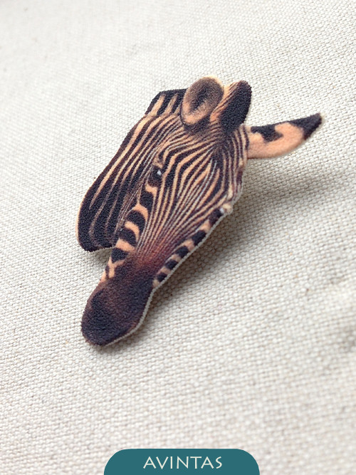 Zebra - brož