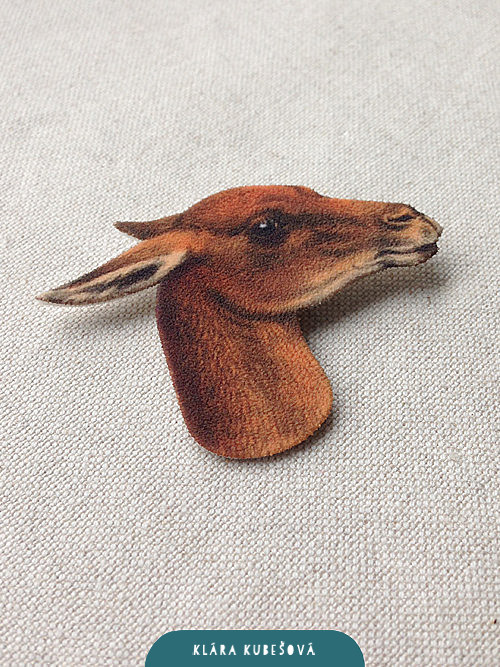 Lama - brož