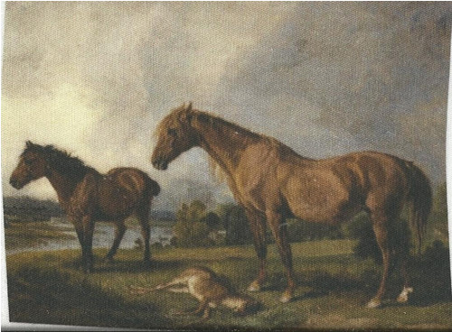 Bavlněná látka - panel 10,5 x 13 cm