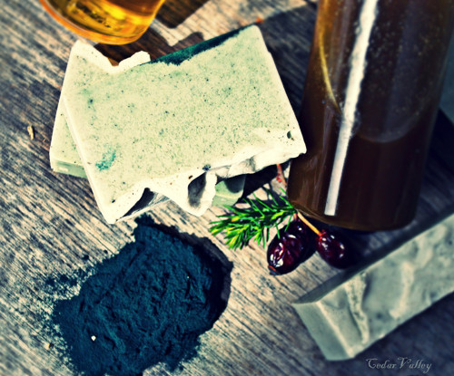 °°PURITY°° Tuhý šampon Nimba & Spirulina — foto 1