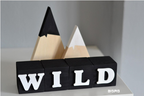 Kostičky - WILD — foto 1