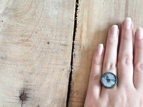 Hortensia blue — foto 1