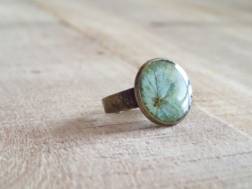 Hortensia green — foto 1