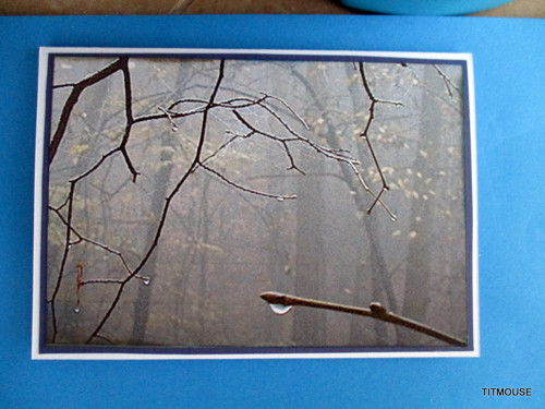 Teardrop — foto 1