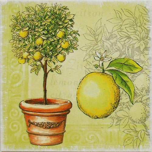 Obrázek 16x16: Citroník