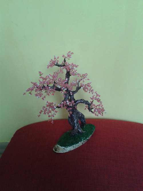 Sakura — foto 1