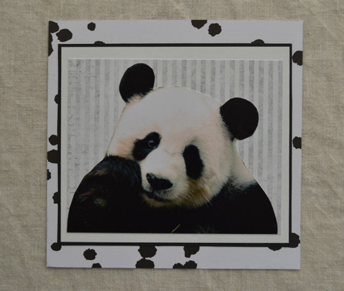 Panda / váš osobní diář 2017 — foto 1