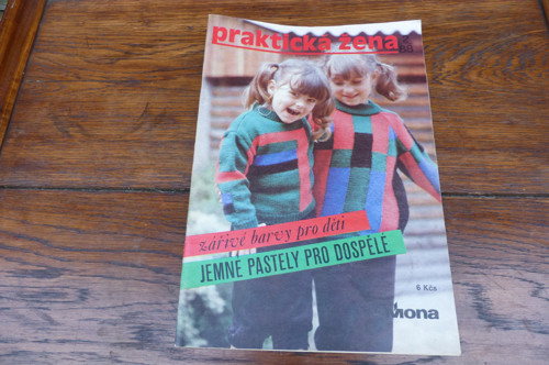 Praktická žena 2/1982
