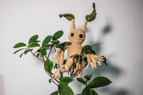 Háčkovaná mandragora — foto 1