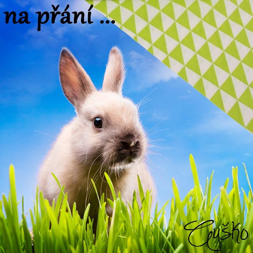 Sada na přání ... geometrie v hrášku — foto 1