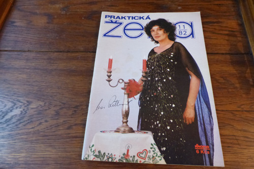 Praktická žena 11/1982