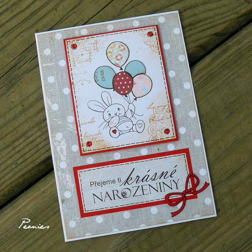 Veselé narozeninové... přání — foto 1