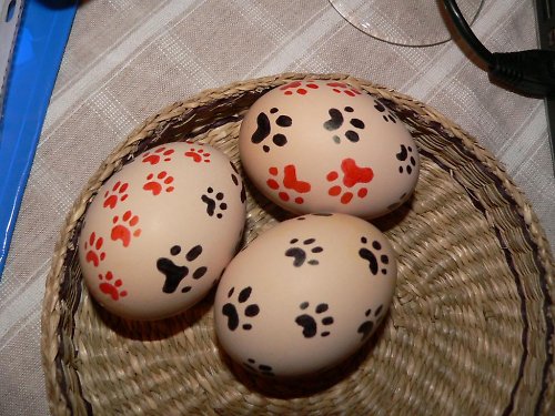 Tlapičkové kraslice — foto 1