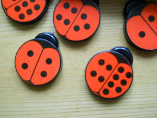 Berušky...domino — foto 1