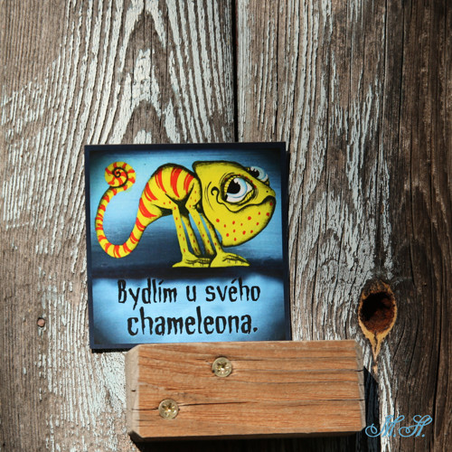 Bydlím u svého chameleona - magnetka