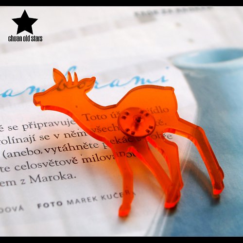 Kolouch ve slevě — foto 1