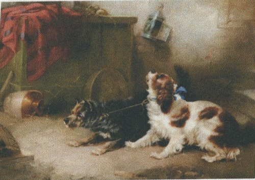Bavlněná látka - panel 9 x 13 cm
