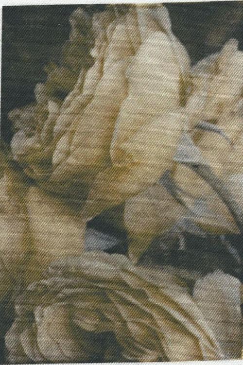 Bavlněná látka - panel 7 x 10 cm