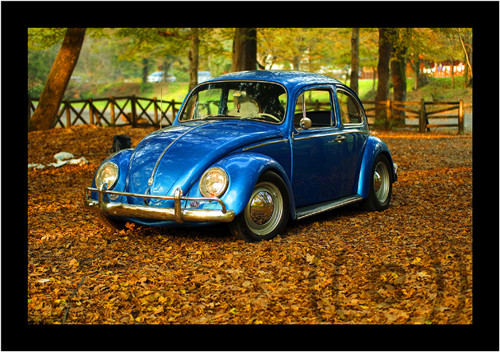 Foto - auto (1) (látkový panel) — foto 1