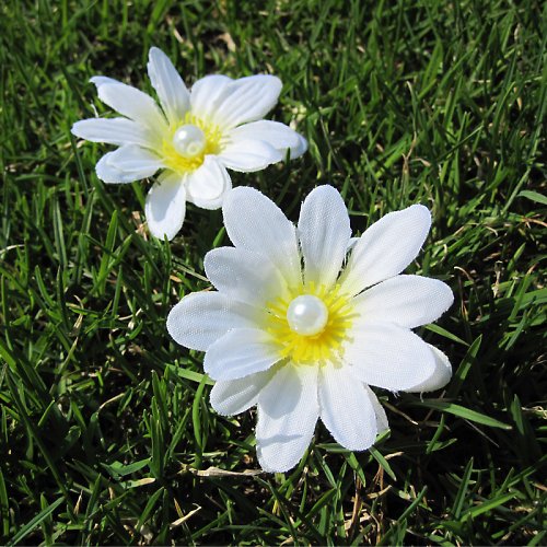 Marguerite — foto 1