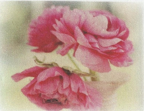 Bavlněná látka - panel 7,5 x 10 cm — foto 1