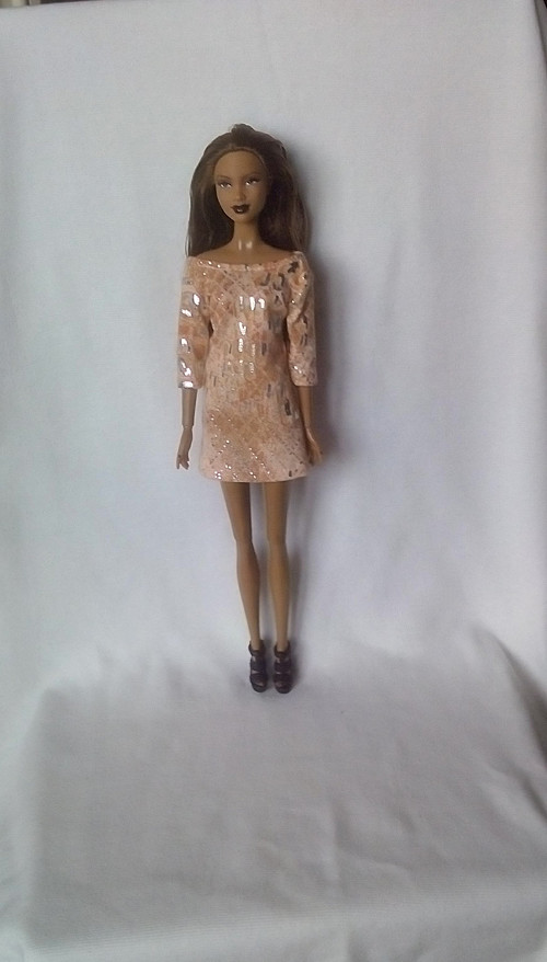 Šatičky pro Barbie — foto 1