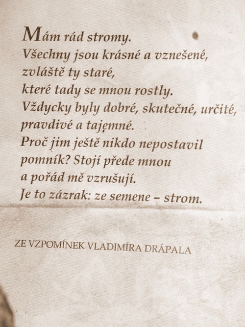 Úcta ... starý nápis v podobě pohlednice s linkami
