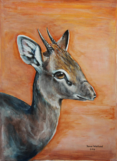 Dik-dik - zarámovaný originál
