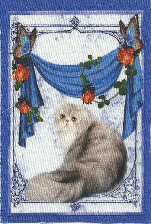 Bavlněná látka - panel 8,5 x 12,5 cm