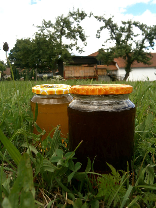 Med tmavý lesní — foto 1