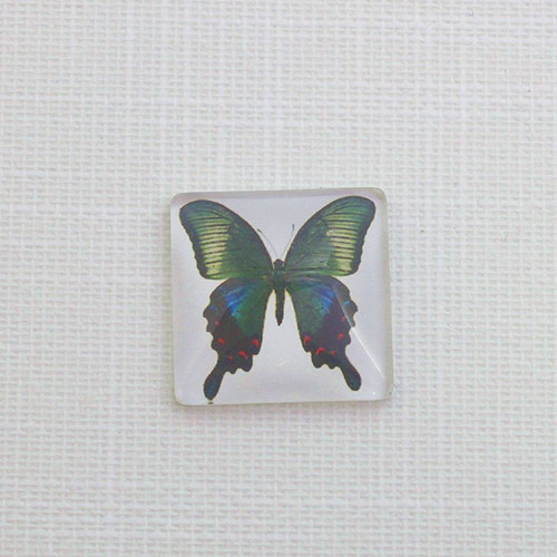 Čočka čtvercová 25×25mm-barevný motýl (za 1ks)