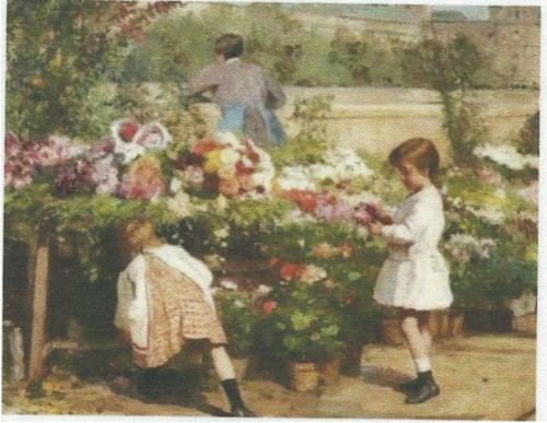 Bavlněná látka - panel 10 x 13 cm
