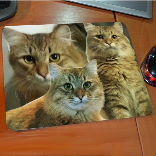 Podložka pod myš Můj kocour Zrzunda