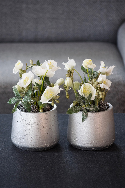 Dekorace SnowyHelleborus — foto 1
