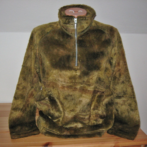 V mechu a kapradí 11267 P3