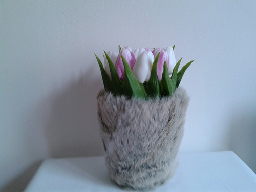 Tulipány v kožichu — foto 1