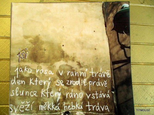 Báseň na zdi II. — foto 1