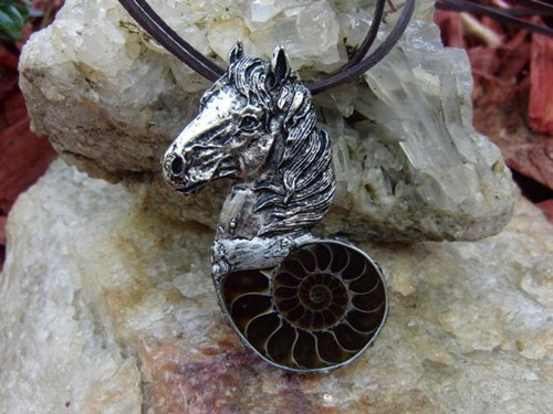 ... hippocampus - amonit ... — foto 1