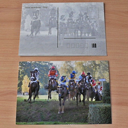 Velká pardubická - Drop