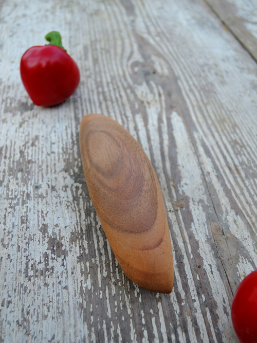 S chutí Indie — foto 1