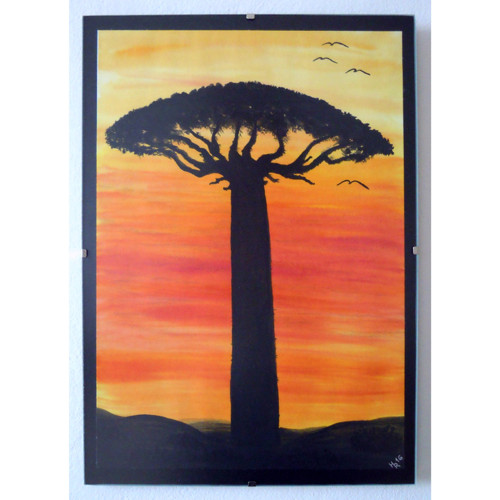 Baobab