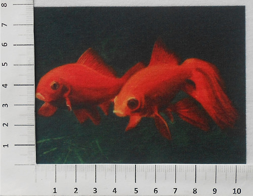 Teplákovina panel - zvířata(12/56) — foto 1