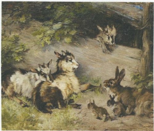 Bavlněná látka - panel 10,5 x 13,5 cm