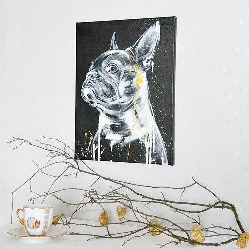 Frenchie gold....obraz — foto 1