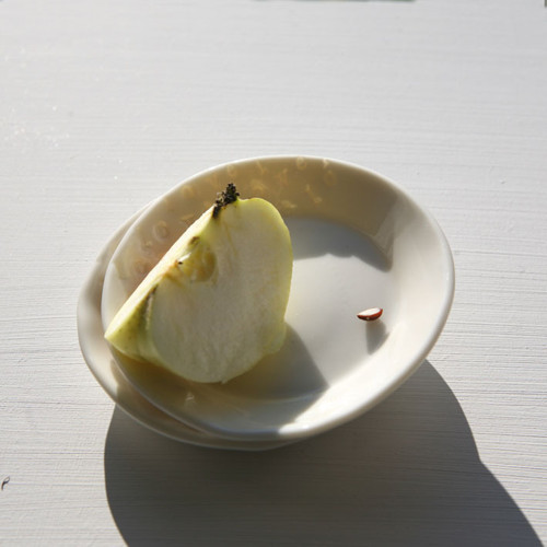 Prosvítavý mini (porcelán) — foto 1